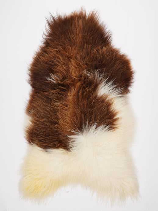 Islandiškas avikailis XXXL