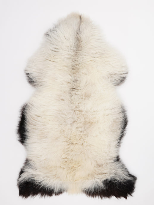 Įvairiaspalvis avikailis L