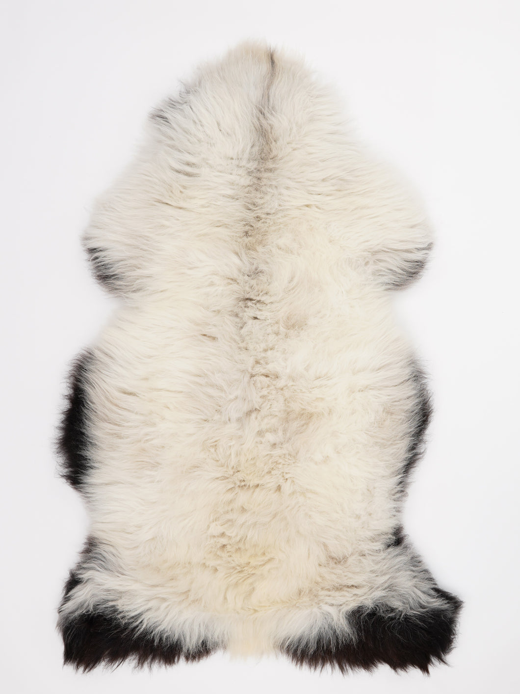 Įvairiaspalvis avikailis L