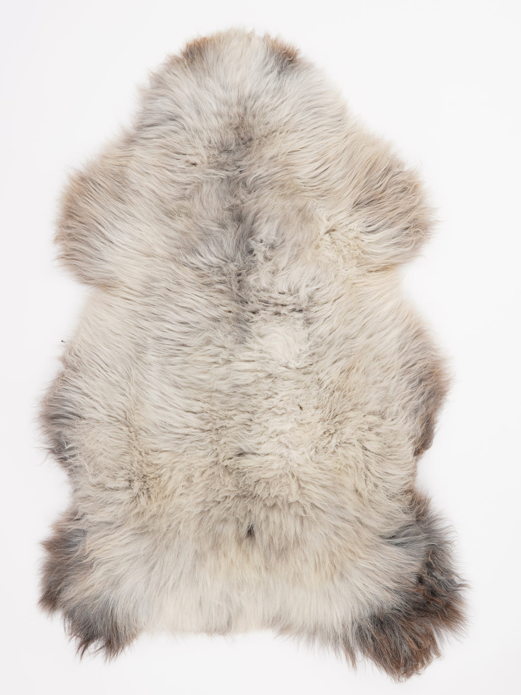 Įvairiaspalvis avikailis XL