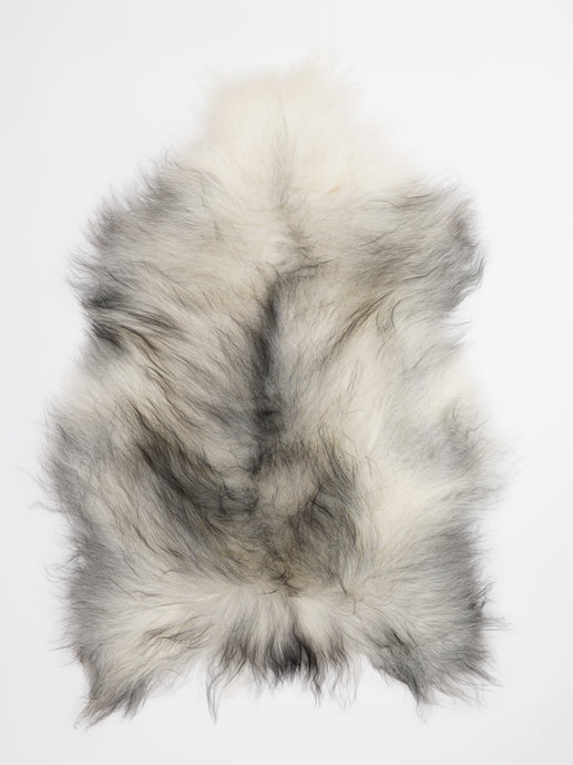 Islandiškas avikailis L