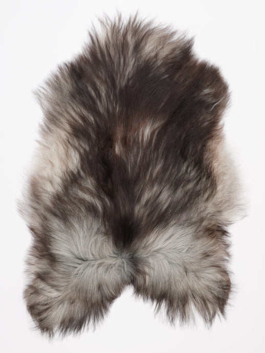 Pilkas islandiškas avikailis XL