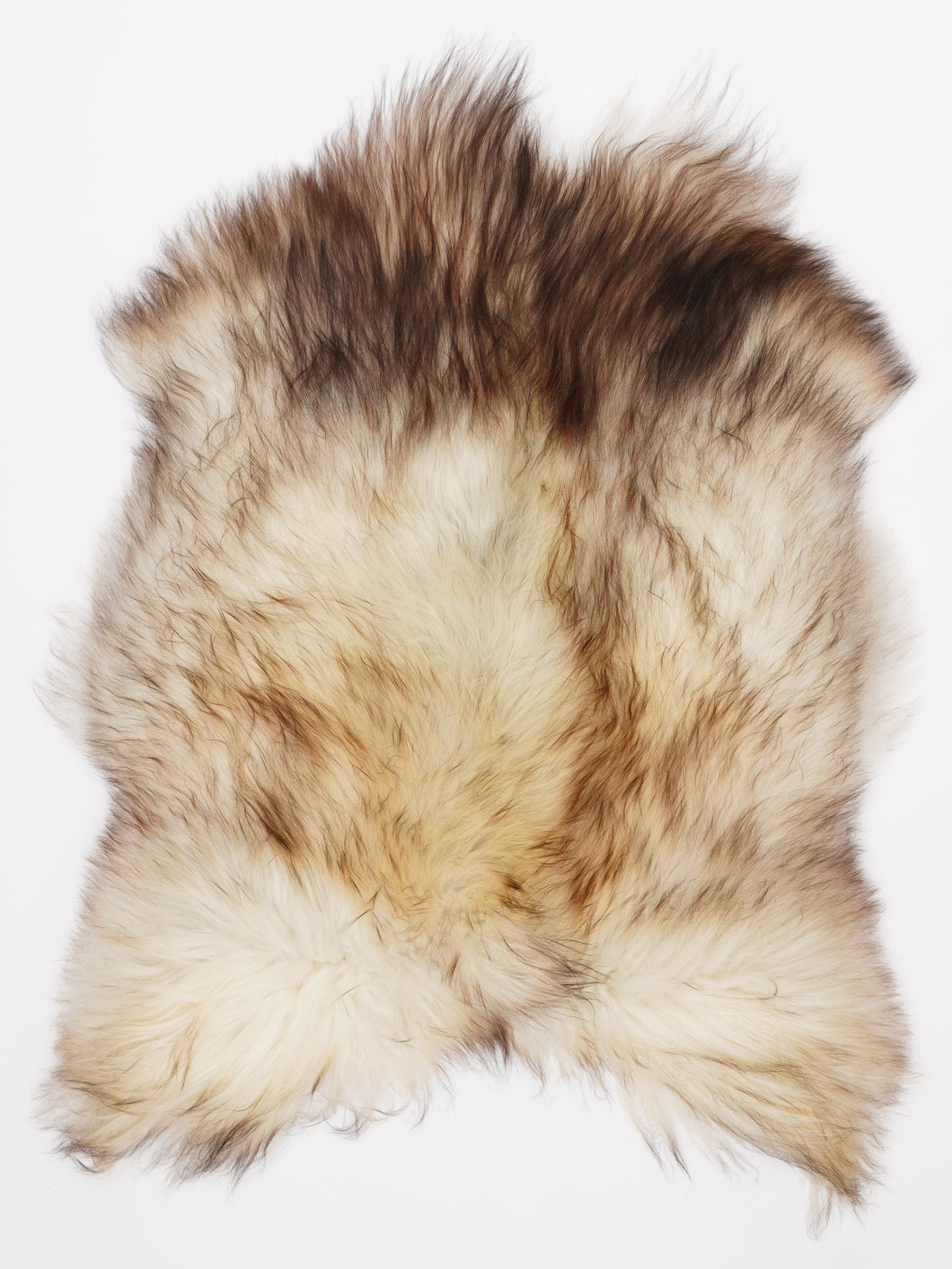 Islandiškas avikailis M