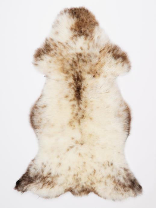 Įvairiaspalvis avikailis XL