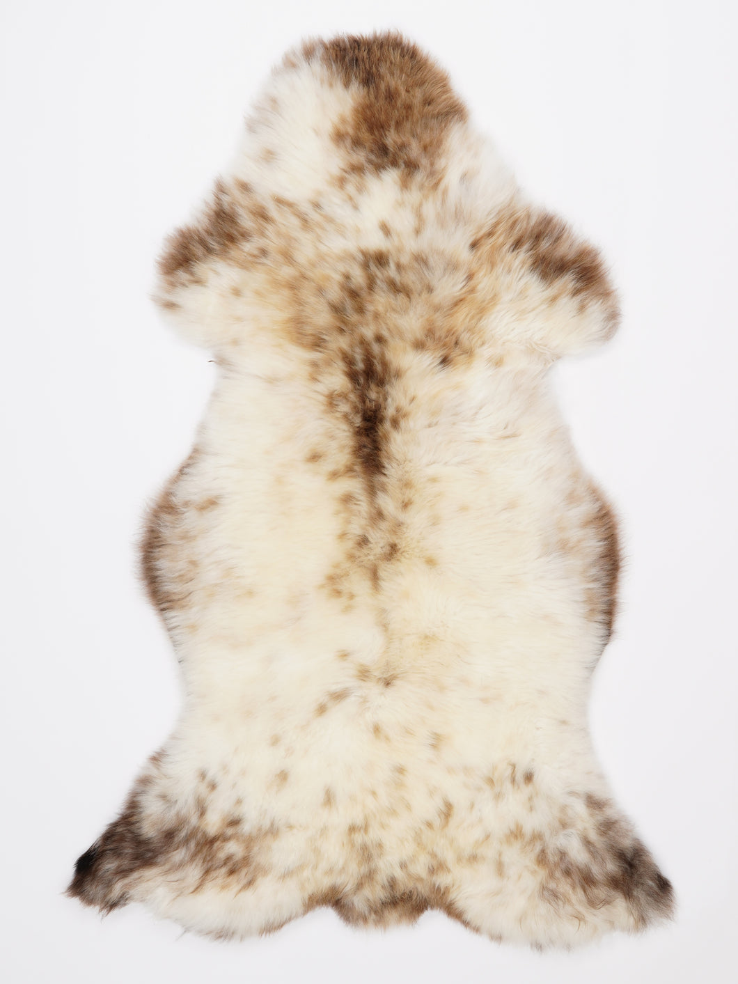 Įvairiaspalvis avikailis XL