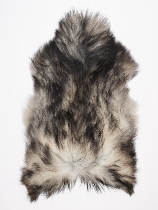 Pilkas islandiškas avikailis XXL