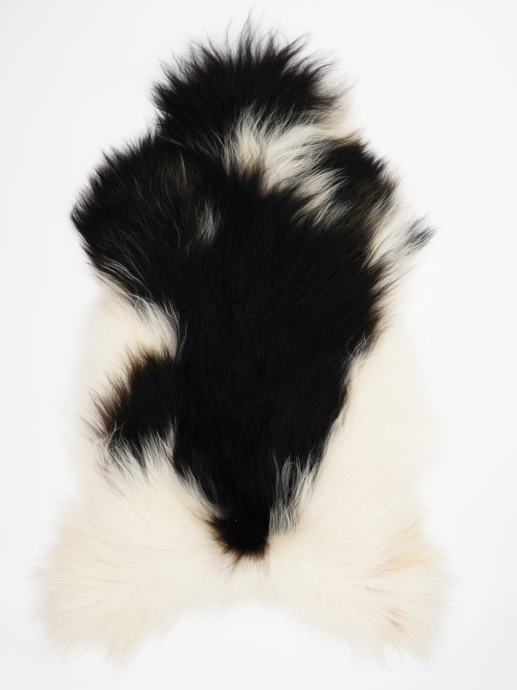 Islandiškas avikailis XXL